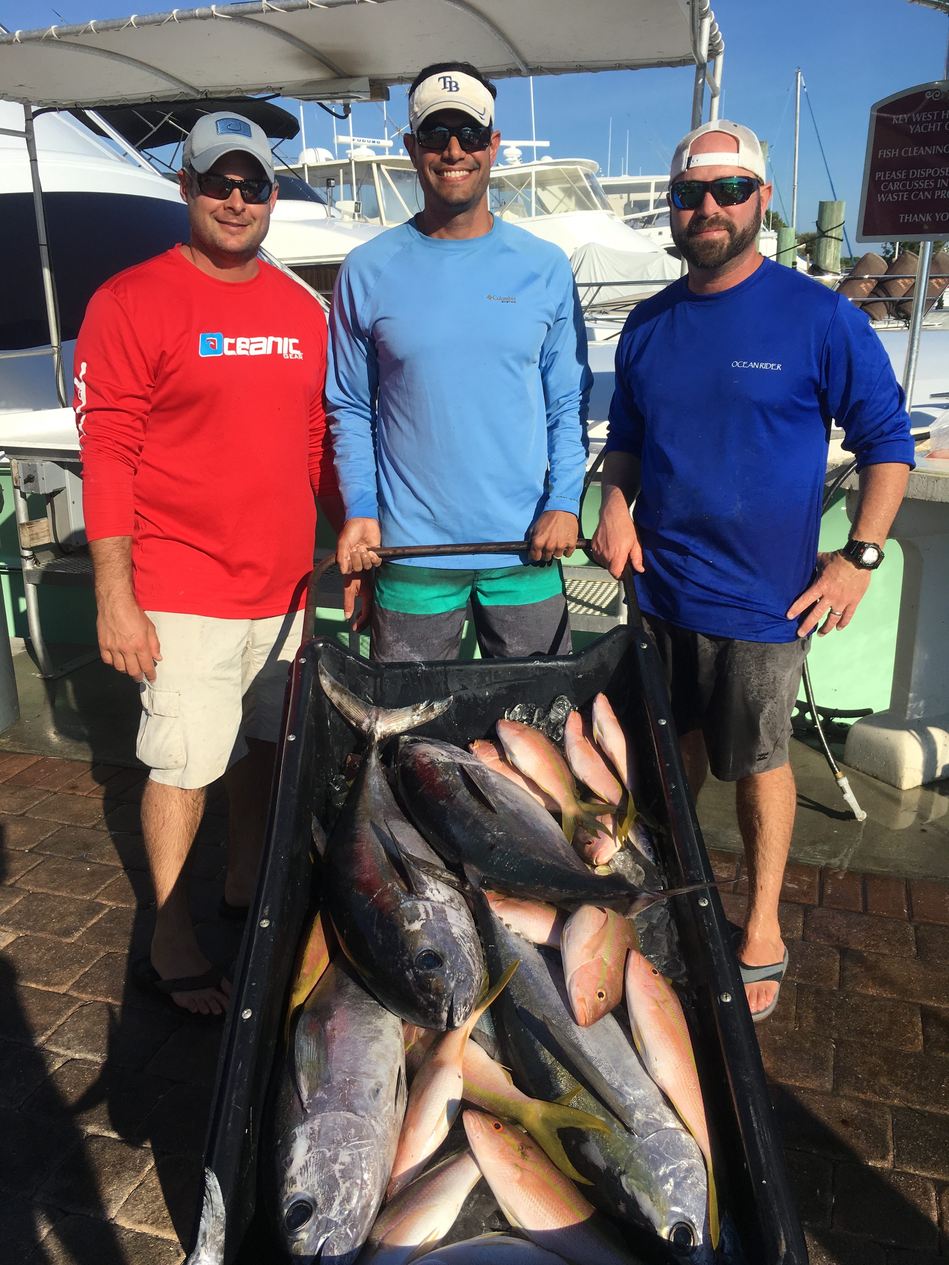 Nice Fish Reef Fishing