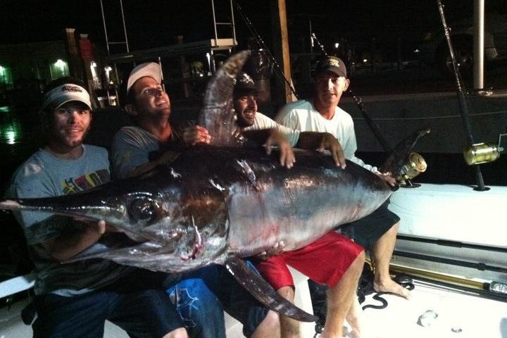 Giant Swordfish Key West Florida