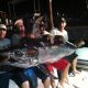 Giant Swordfish Key West Florida