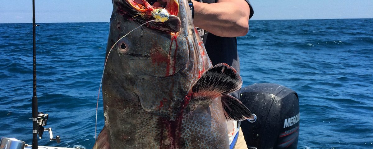 Big Grouper Key West Fishing