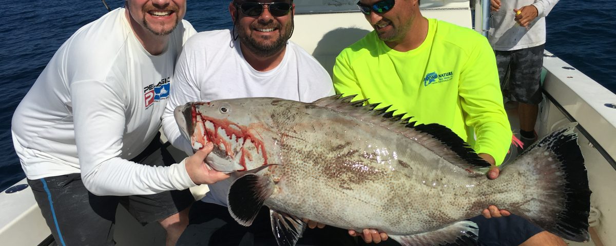 Nice Grouper Key West Fishing