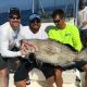 Nice Grouper Key West Fishing