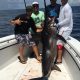 Big Swordfish Key West Fishing