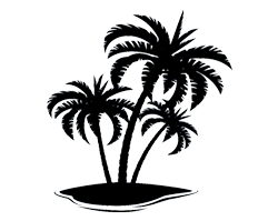 Palm tree on Sand Bar