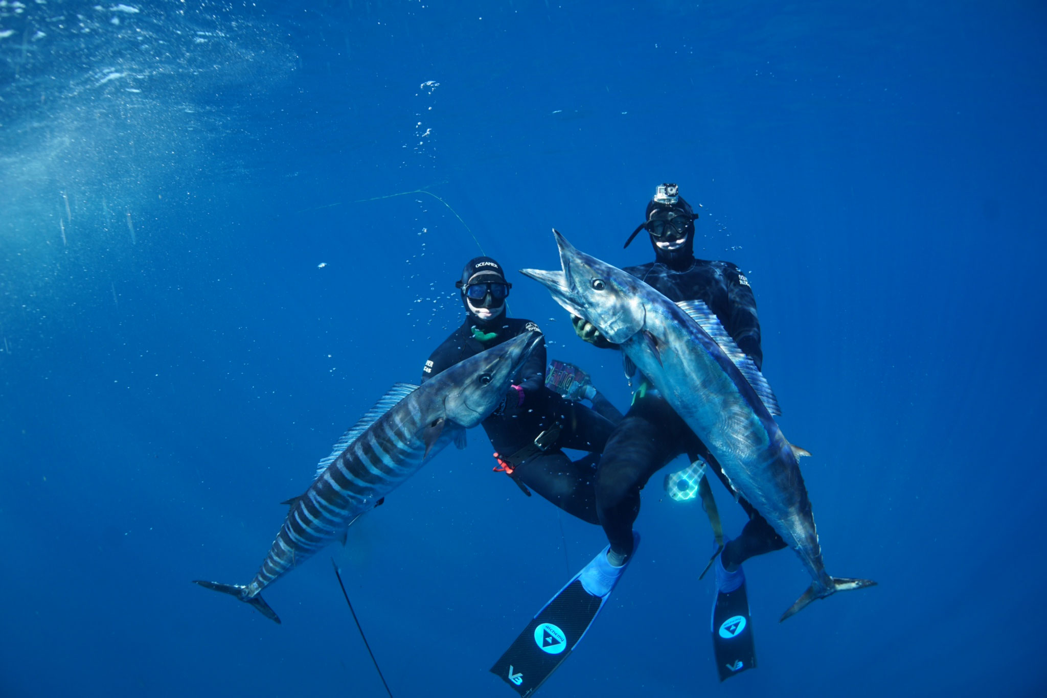 Spearing Wahoo Far Out Charters