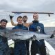 Big Wahoo Speared Key West Florida