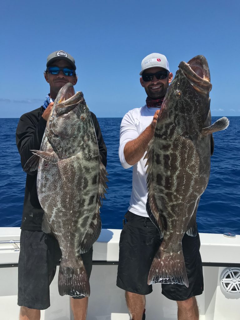 Grouper Fishing Charter In Key West, Florida