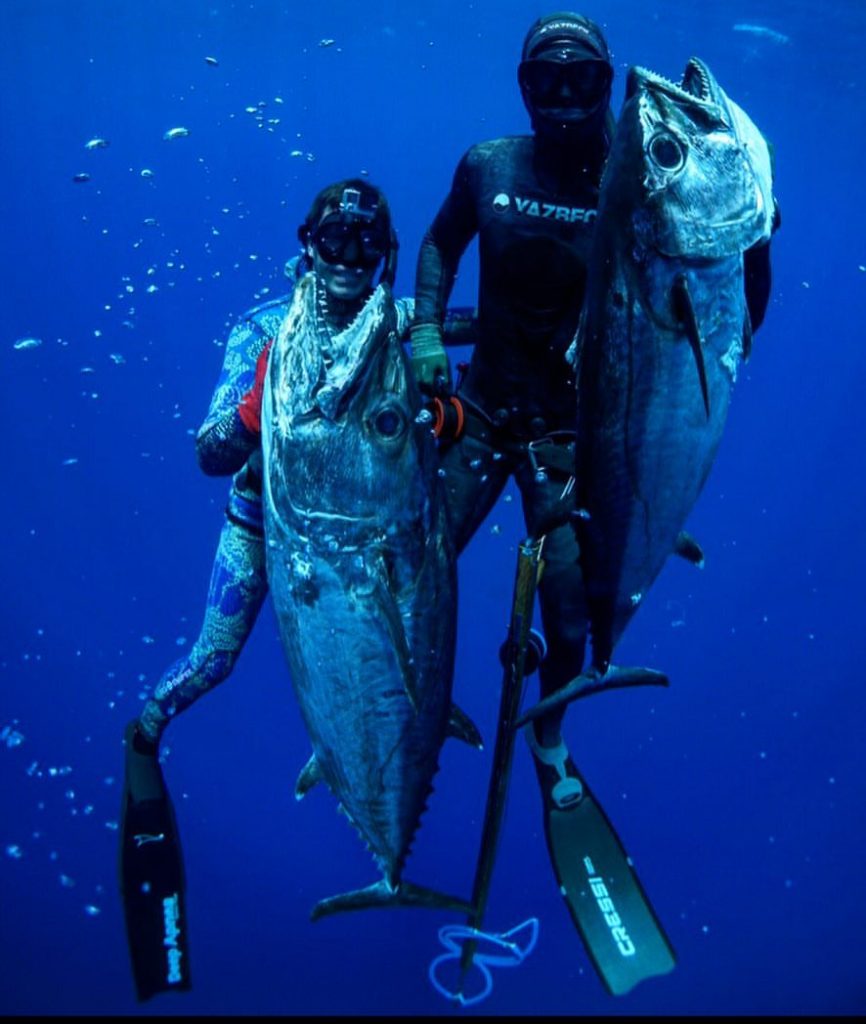 DOGTOOTH TUNA SPEARFISHING