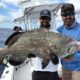 Grouper Fishing In Key West Florida