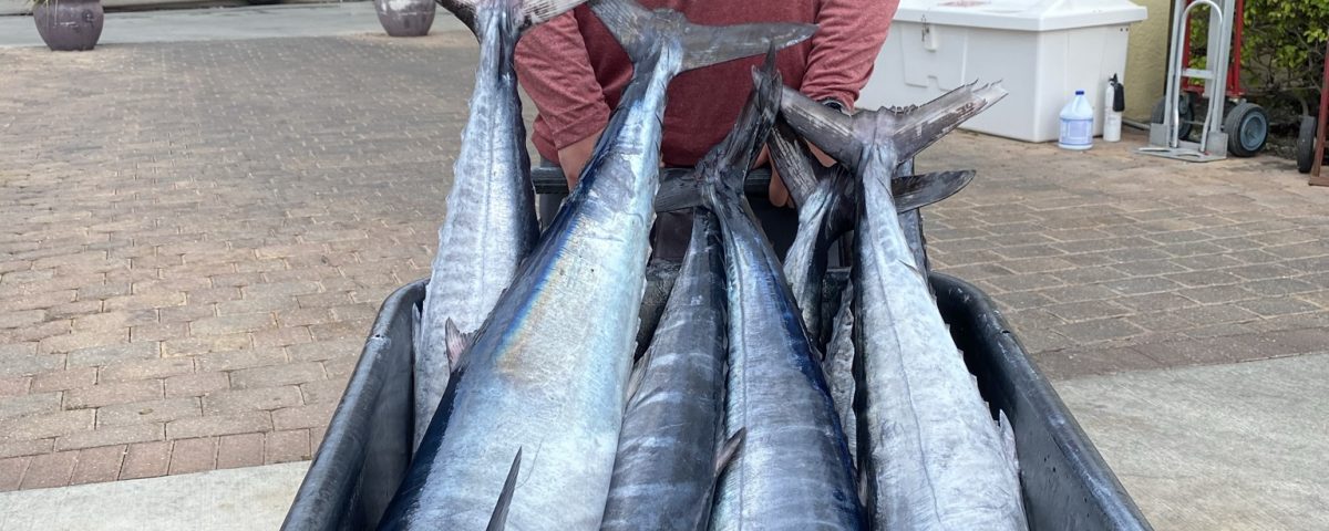 Wahoo Fishing Offshore Key West