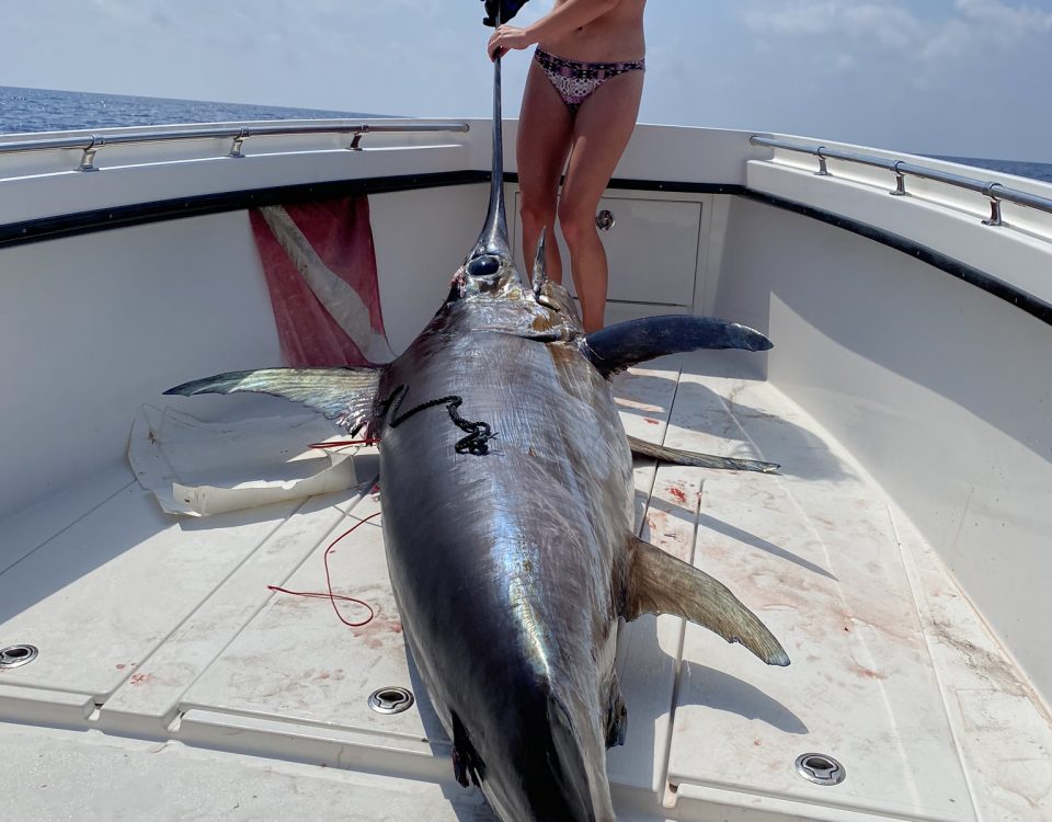 Sword Fishing In Key West