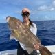 Yellow Edge Grouper