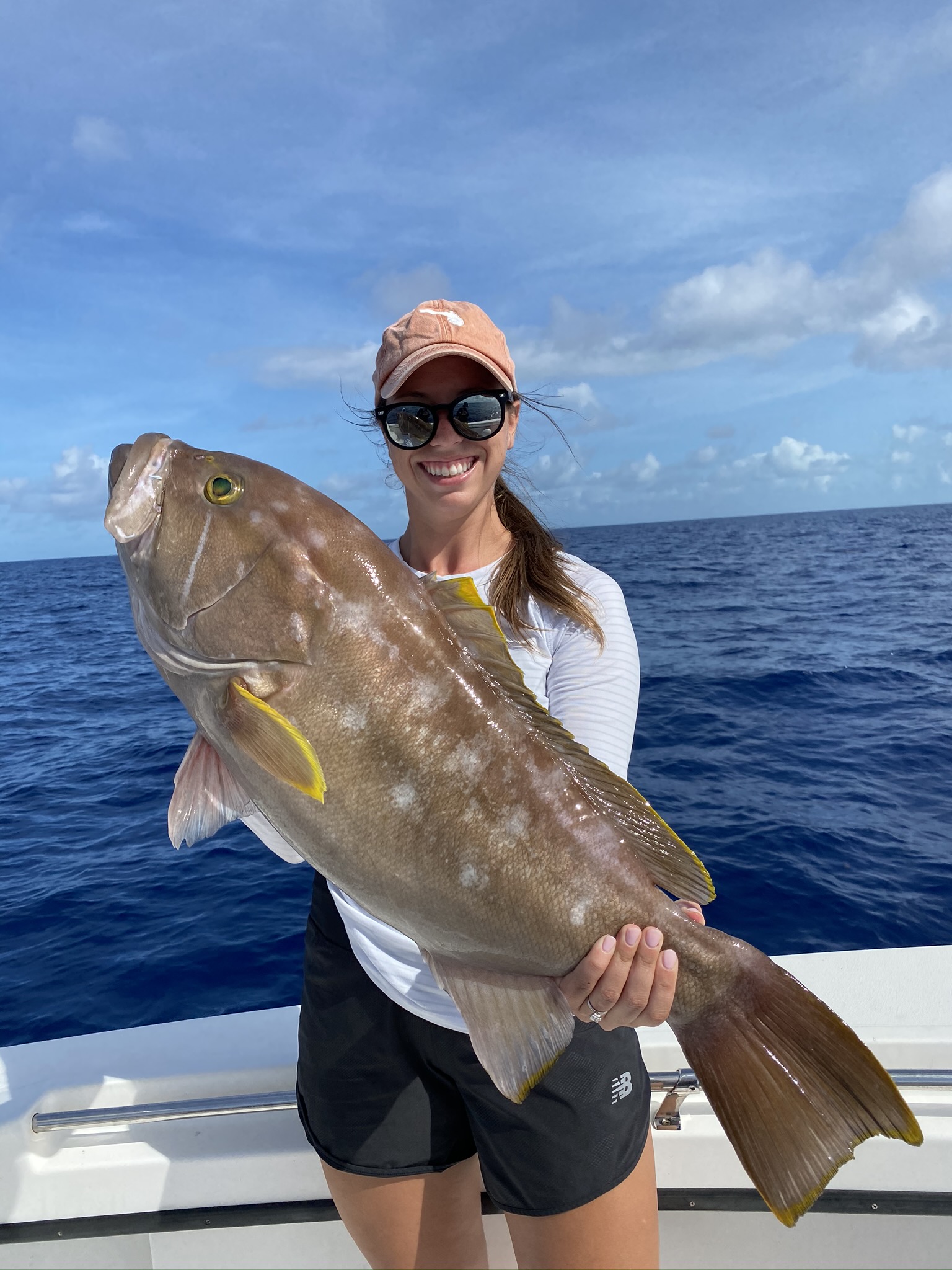 Yellow Edge Grouper