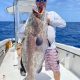 Black Grouper Fishing Key West