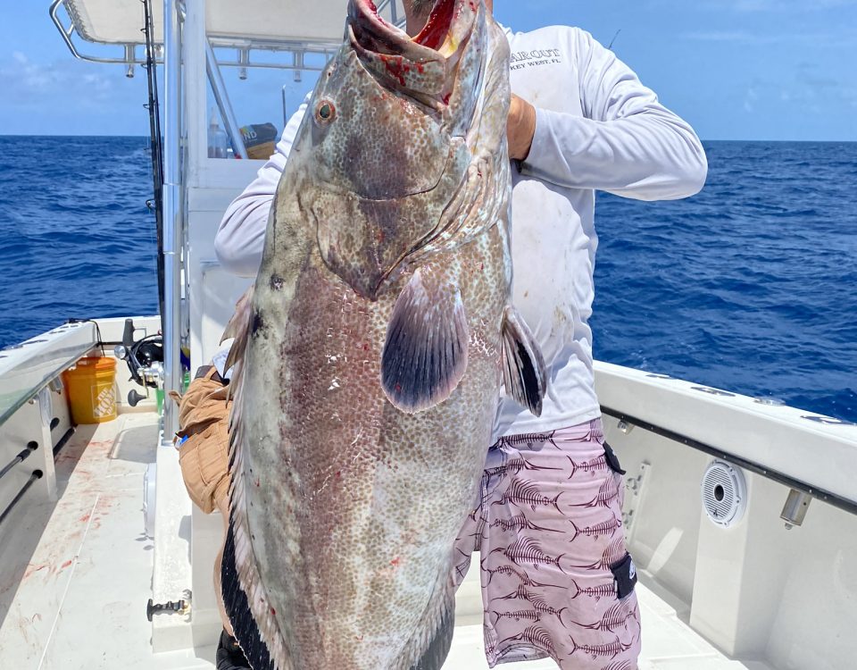 Black Grouper Fishing Key West