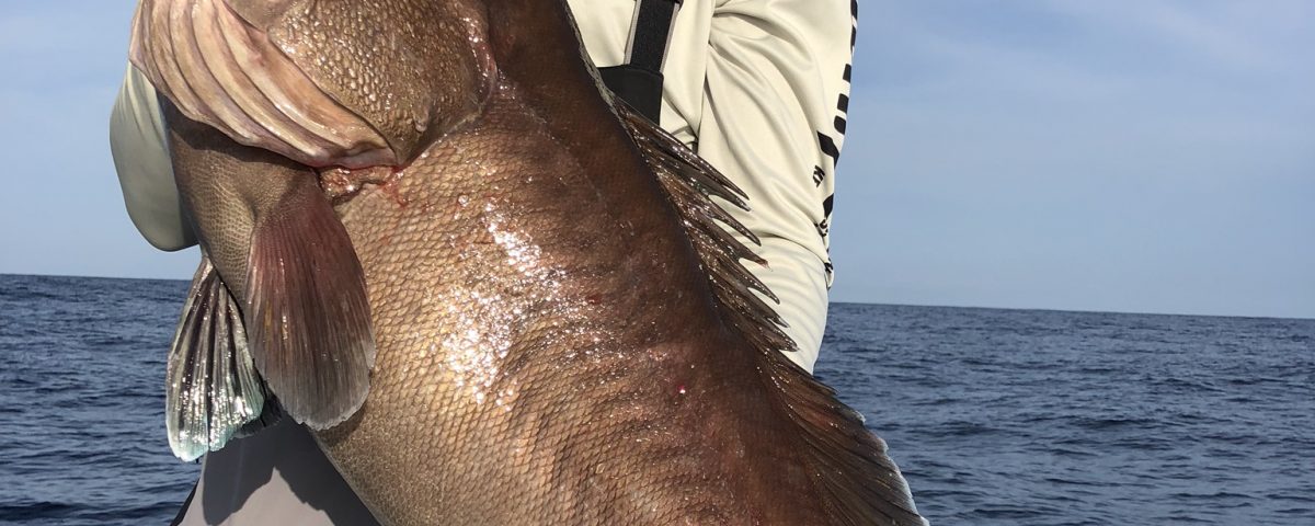 Grouper Fishing Key West